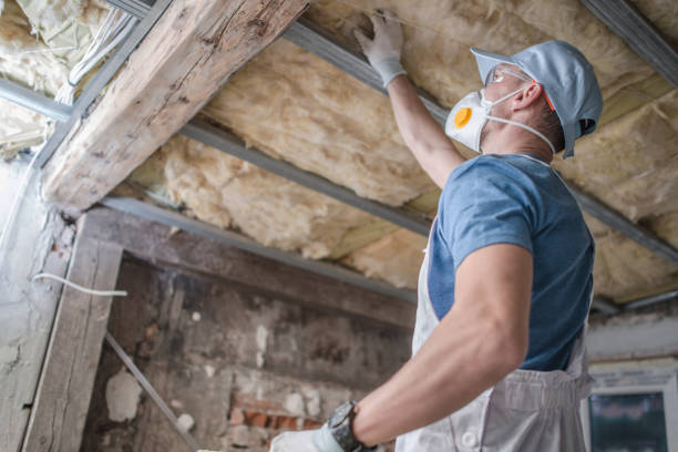 Best Commercial Insulation in Lake Holiday, IL