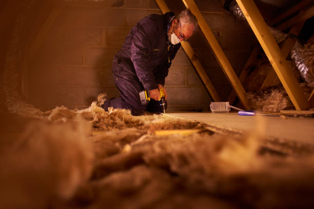 Best Geographic-Specific Insulation Services in Lake Holiday, IL